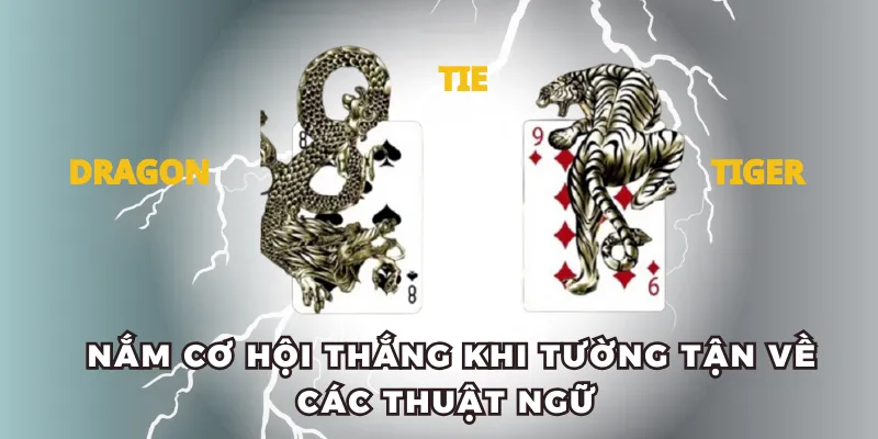 Nắm cơ hội thắng khi tường tận về các thuật ngữ 